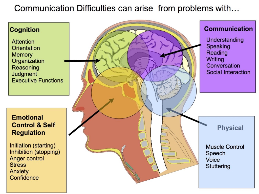 Sheila MacDonald & Associates|Why Use A Speech Language Pathologist? | SLP